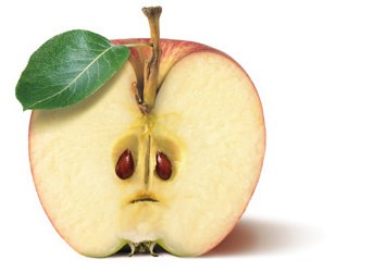Kampagne -Zu Gut Für Die Tonne - Apfel